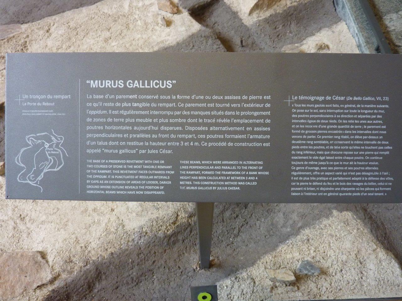 P1100823